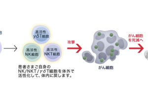 がん治療CAR T細胞は、1回で5,000万円って、高い！